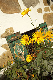 Ilz Bayerischer Wald